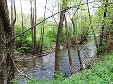 Dragovishtitsa-river-between-Dolno-Uyno-and-Goranovtsi-3.jpg