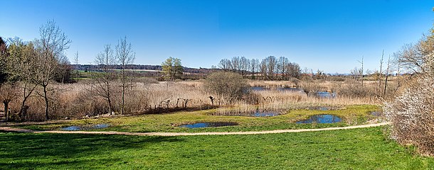 Blick über das Ottisbergmoos