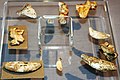 Barlangi hiéna (Crocuta crocuta spelaea) fogak