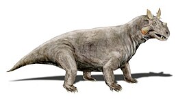 Az Estemmenosuchus mirabilis életnagyságú modellje