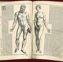 Two facing pages of text with woodcuts of naked male and female figures, in the Epitome by Andreas Vesalius, 1543 Externarvm hvmani corporis sedivm partivmve, 1543..JPG