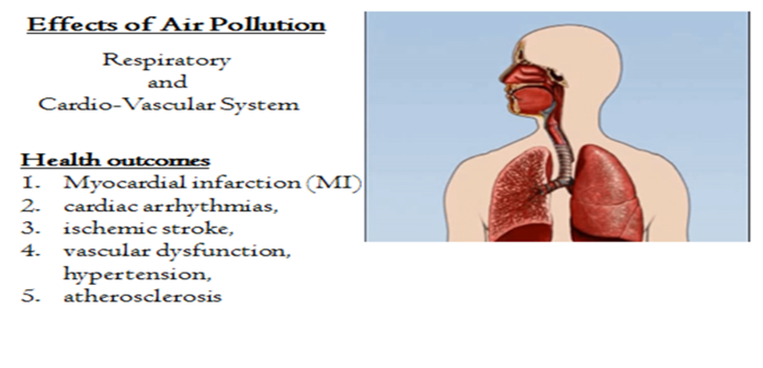 Figure-4-effect of air pollution--- Dr Piyush Kumar