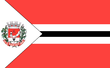 Vlag van Dionísio