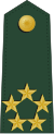 General Special Class rank insignia (ROC) - V.svg