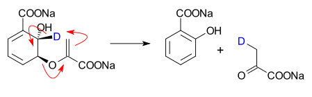 La isocorismato piruvato liasa convierte al isocorismato en salicilato y piruvato