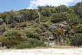 Jervis Bay National Park at Hyams Beach