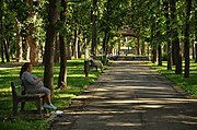 A kézdivásárhelyi Molnár Józsiás park