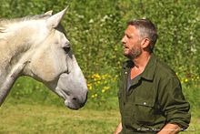 Photographie de la tête d'un cheval gris et du buste d'un homme, les deux s'entre-regardant.