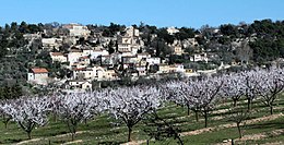 La Roque-sur-Pernes - Sœmeanza