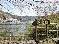 菅野湖と桜