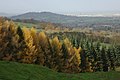 View to Chosen Hill, Churchdown