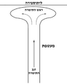 תמונה ממוזערת לגרסה מ־10:49, 31 באוגוסט 2009