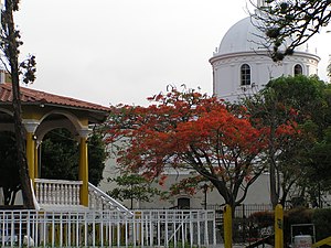 モラサン公園から見た大聖堂