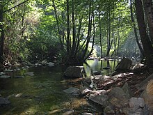El riu Tordera al seu pas pel Montseny.