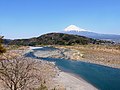 岩本山全景（富士川SAより）