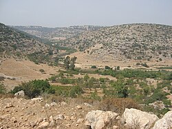 Údolí Nachal Kana poblíž Karnej Šomron