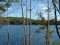 Benton Pond, East Otis