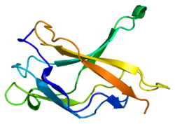 Белок NFKB1 PDB 1bfs.png