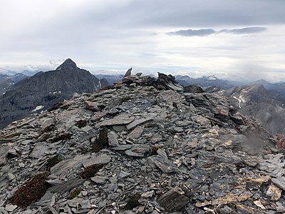 Gipfel des Piz Forbesch Pintg.