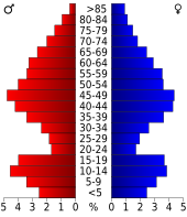 Bevolkingspiramide Lincoln County