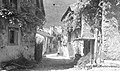 Staro Selo in 1951