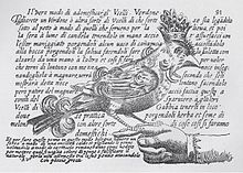 Antonio Valli da Todi, who wrote on aviculture in 1601, knew the connections between territory and song ValliDeTodi1601.jpg