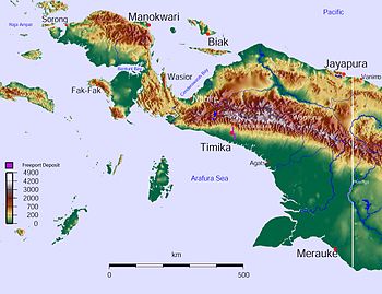 West Papua Topographic Map