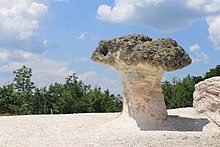 Каменный гриб в Болгарии