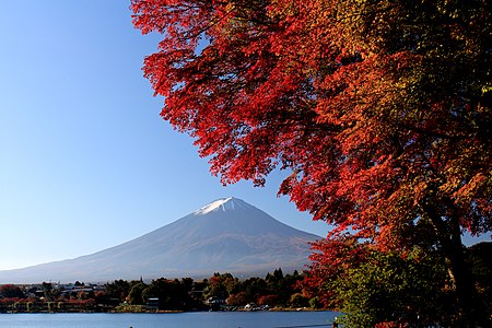 以富士山做背景嘅紅葉，2015 年