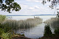 Blick auf den Balaton