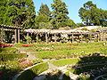 Miniatura para Berkeley Rose Garden