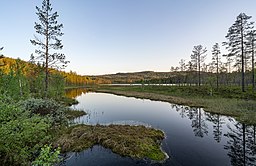 Norra sidan av Bränntjärnen strax före solnedgången.