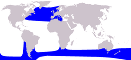 Mapa de distribución do caldeirón común