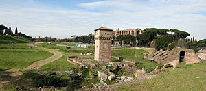 Wide view of Circus Maximus, Rome, Italy. Pano...