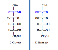 projection of D-glucose and D-mannose
