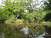 Epping Forest, rybník Strawberry Hill - geograph.org.uk - 548653.jpg