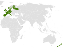 European Hedgehog distribution.png