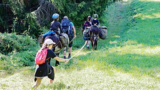 Rando avec des ânes.