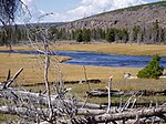 De Fountain Flats langs de Firehole in september (2004)