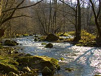 Der Fluss Gradac in der Nähe von Valjevo.