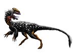 Miniatura para Guanlong wucaii