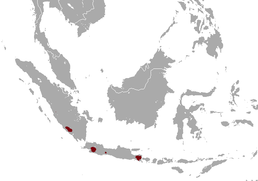 Мапа поширення виду Mustela lutreolina
