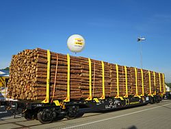 Tatravagónka Snps - wagon do przewozu drewna lub kontenerów