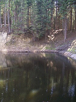 Břeh jezírka u Kyzu