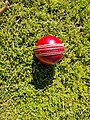 Ein roter Kookaburra-Test-Cricket-Ball