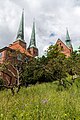 Lübeck,_Dom_--_2017_--_0446