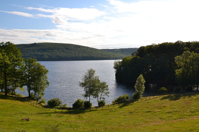 Lac de Vassivière, depuis l'île.jpg
