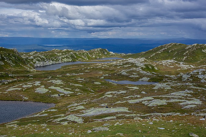 View from Skrubbelinuten to the South-East in Lifjell mountain plateau in Bø municipality, Telemark Region, Norway