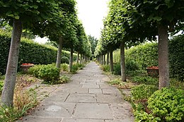 a path of grey flagstones running between an avenue of trees