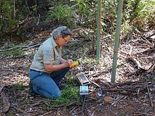 Western Australia Parks and Wildlife National Park Ranger assessing public frequentation on a Metro Count Vehicle Classifier System, Warren National Park, Donnelly District, December 2014. Metrocounter NP Ranger Warren NP XII-2014.jpg